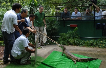 Relocation of Pui Pui to Hong Kong Wetland Park